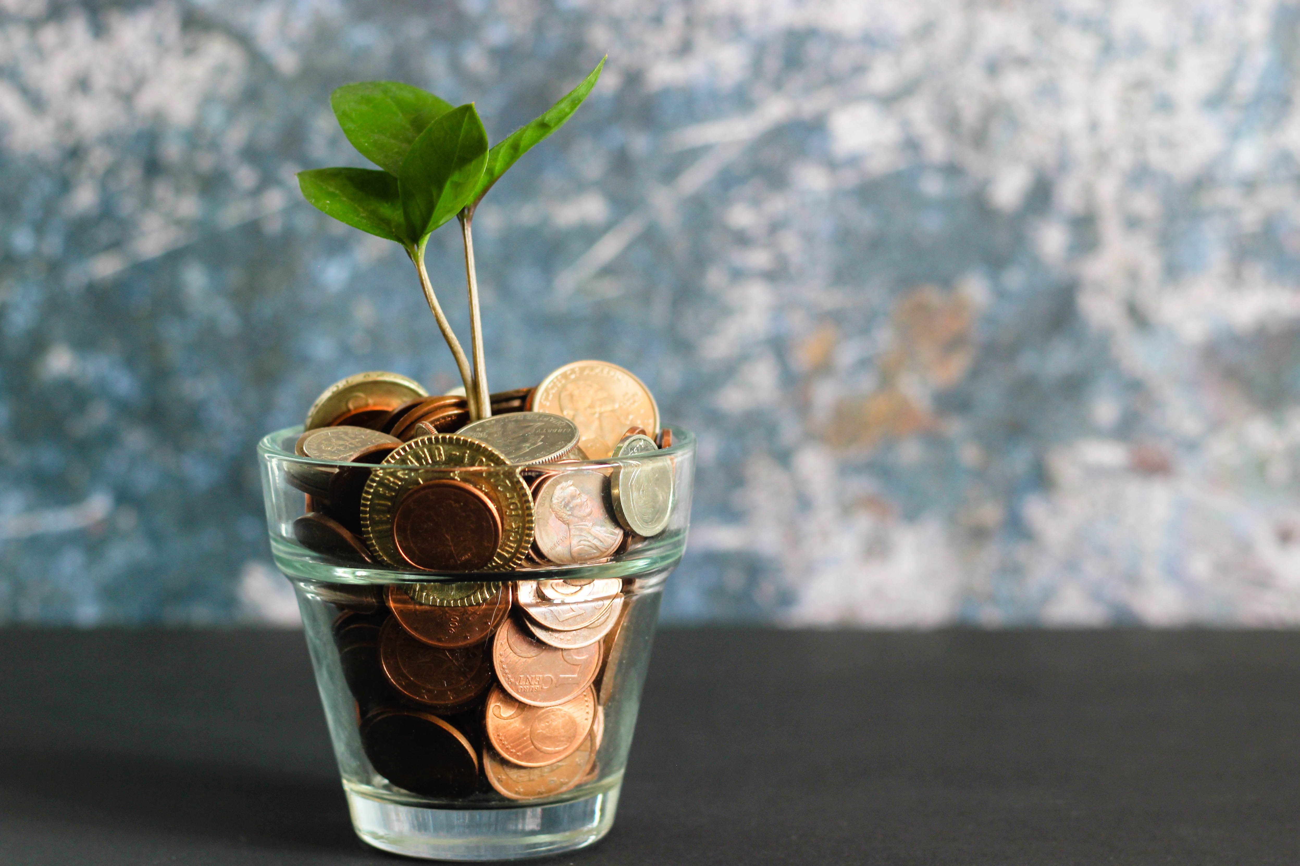 Money-Mind: Simplified Financial Tracking